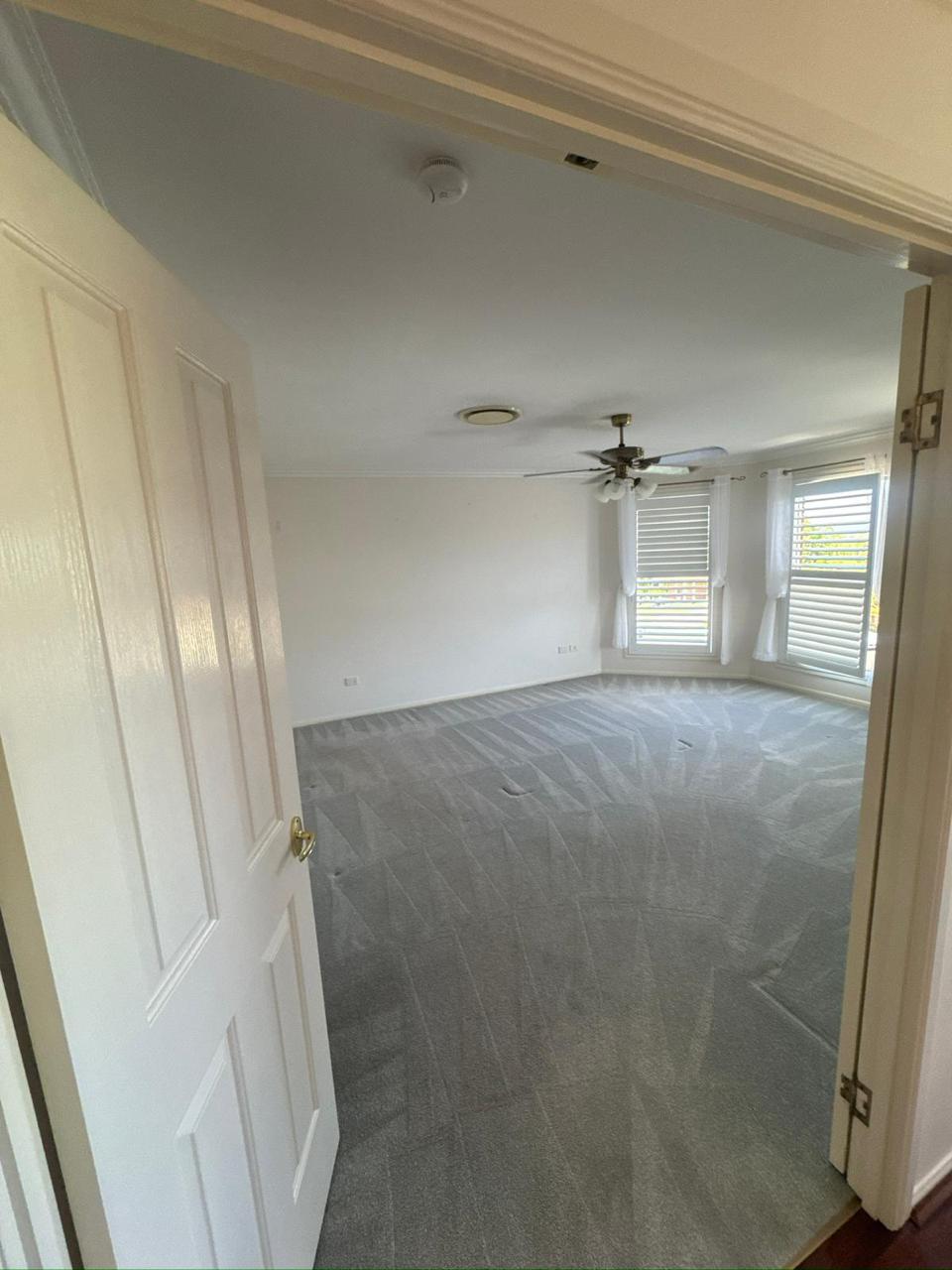 Stain & Pet Odour Removal