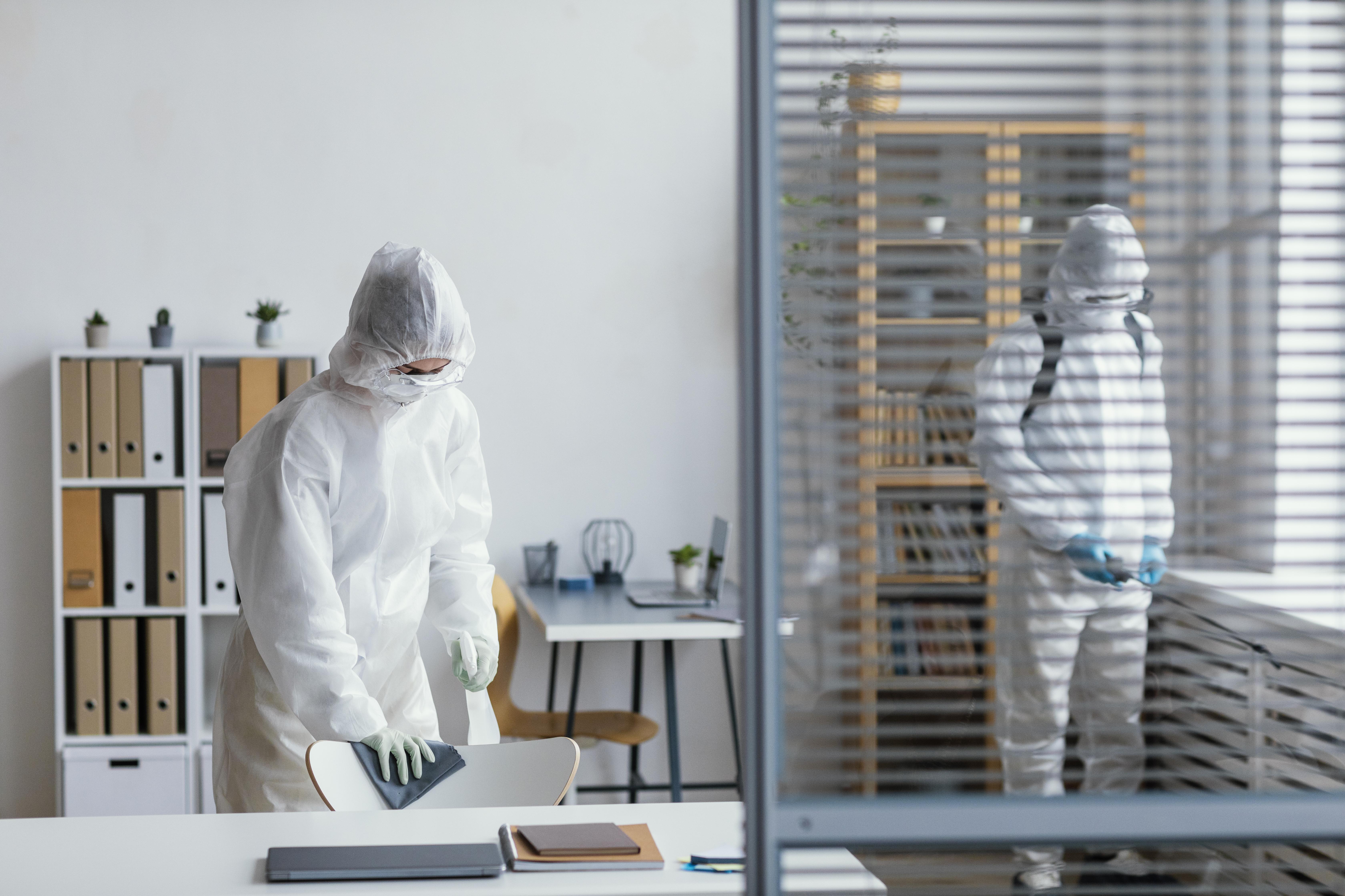 Pest Control Brisbane